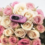 Pink Balance webcam_bouquet 1  low