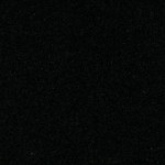 Holland black