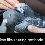 filesharing