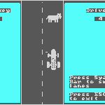 Donkey