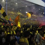 ael fiesta