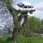 ford-escort-into-a-tree
