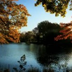 fall-central-park