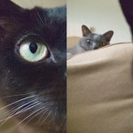 re-focus
