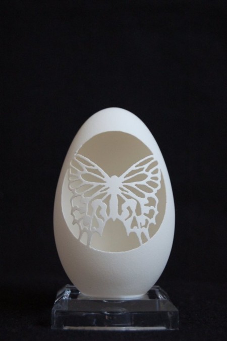 butterfly-silhouette-on-goose-egg-01