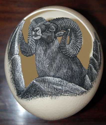 mountain-sheep-on-ostrich-egg