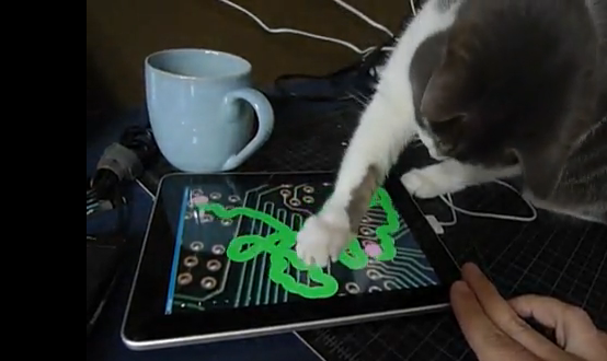 friskies cat friendly apps