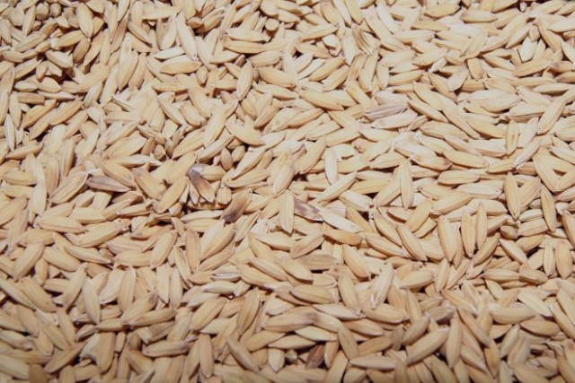 rice-husks-660x441