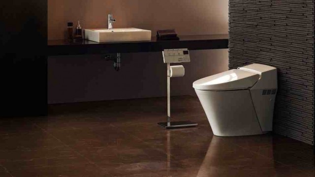 SatisToilet-640x359.jpg