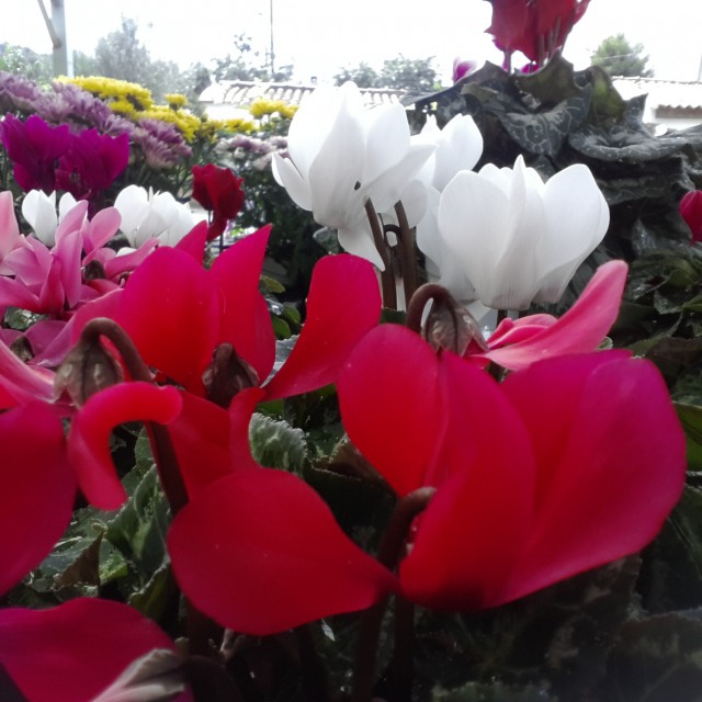 20131002_124620