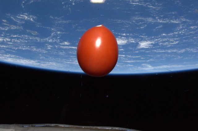 space_tomato