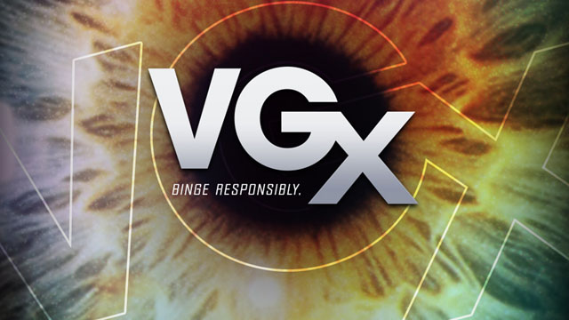 VGX2013 (1)