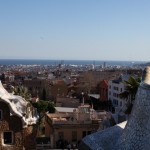 IMG_2049 (Medium)