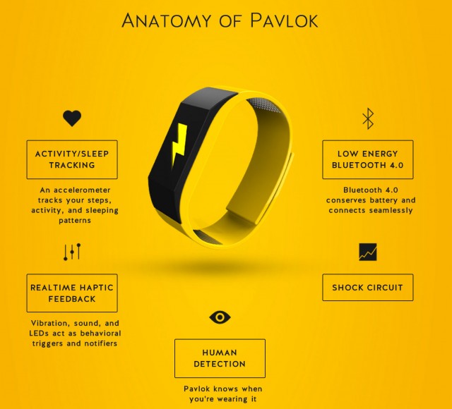 Pavlok wristband