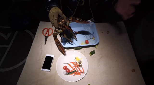 xiaomi-mi4-crabs