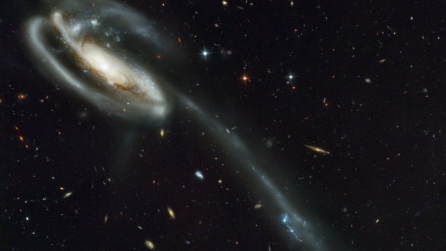 Tadpole Galaxy 2002