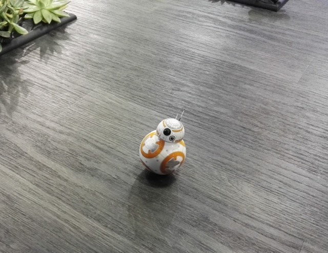 BB8 (3)