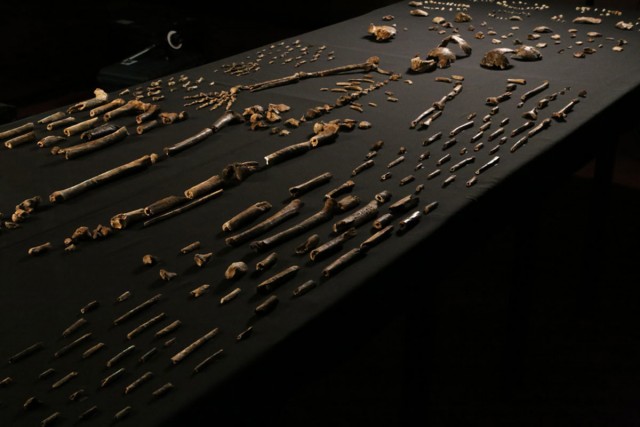 homo-naledi-bone-table