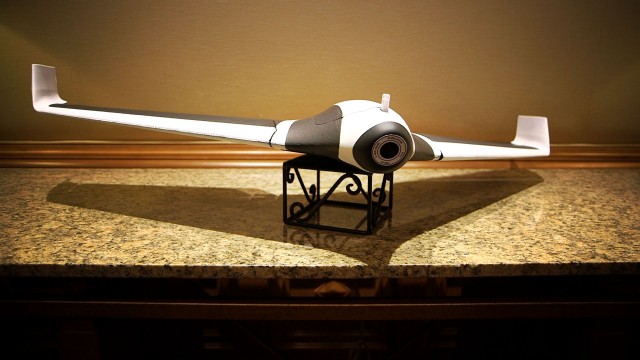 Parrot Disco (3)