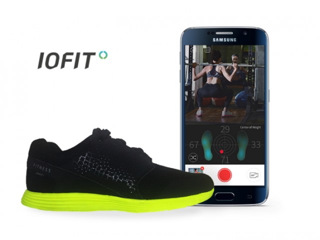 IoFIT_Main_1_1