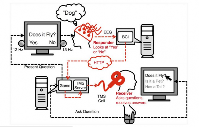 brain-to-brain-interface