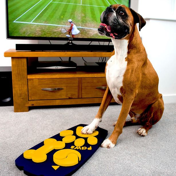 First-ever-dog-TV-remote