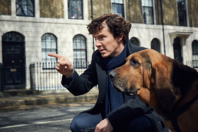 gallery-1468574061-sherlock-still