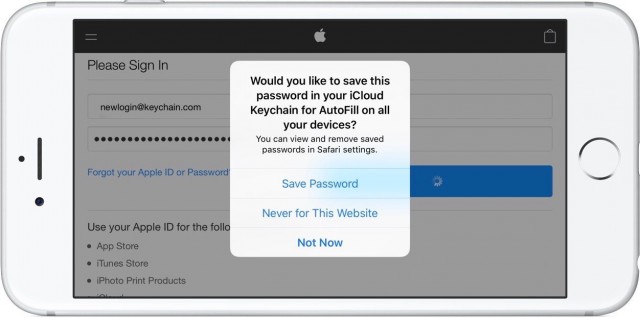 how-to-use-icloud-keychain-on-iphone-2