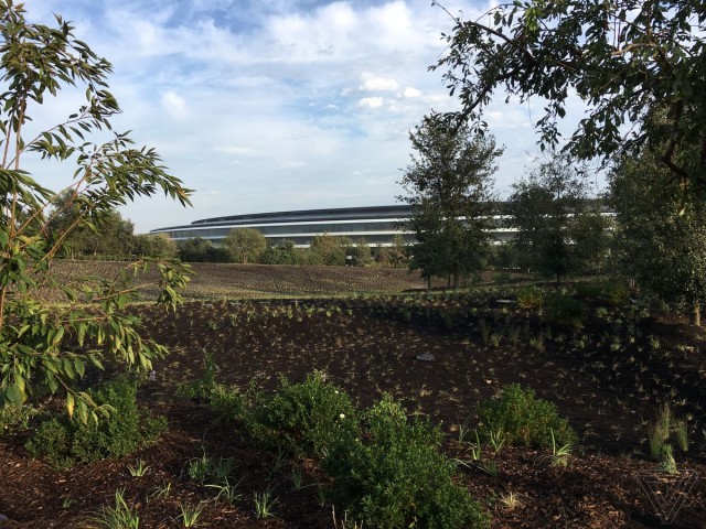 applepark8