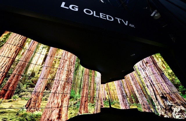 LG OLED Canyon_2