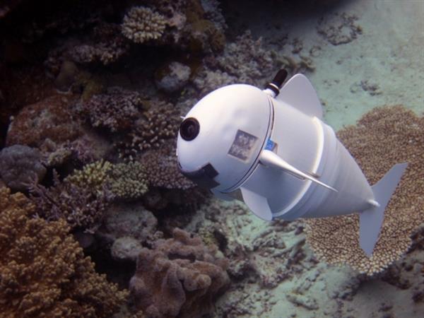 mit-robotic-sofi-fish-3d-printed-parts-future-underwater-observation-1