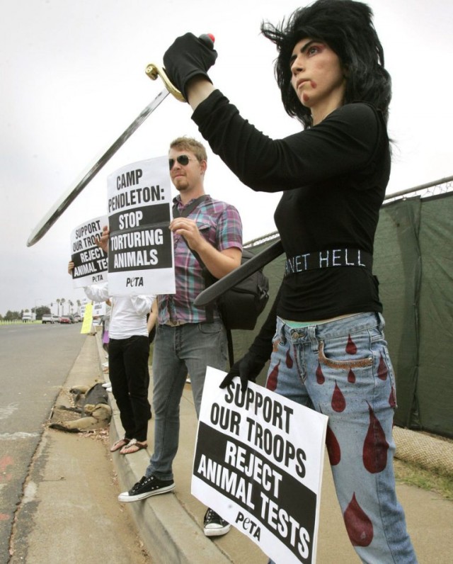 Nasim Aghdam2