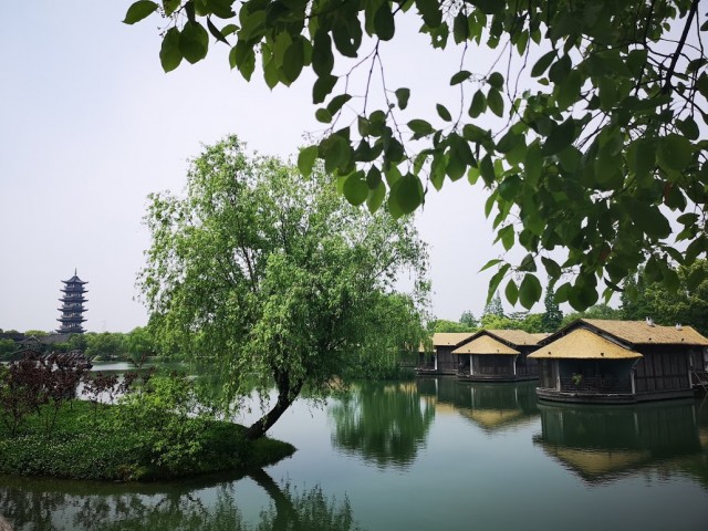 wuzhen3