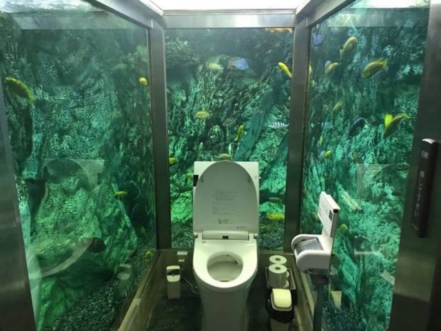Aquarium-toilet