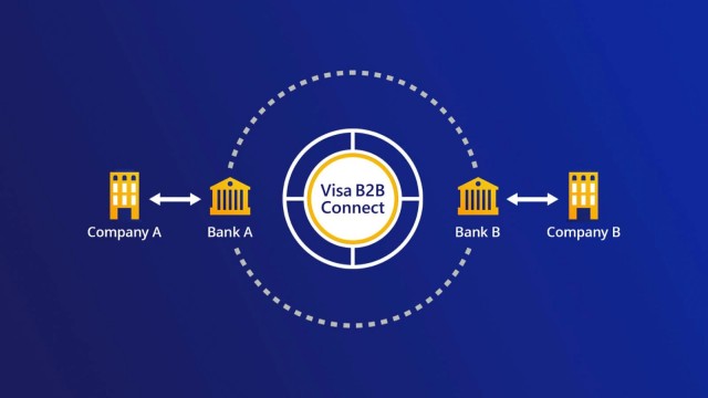 visa 2