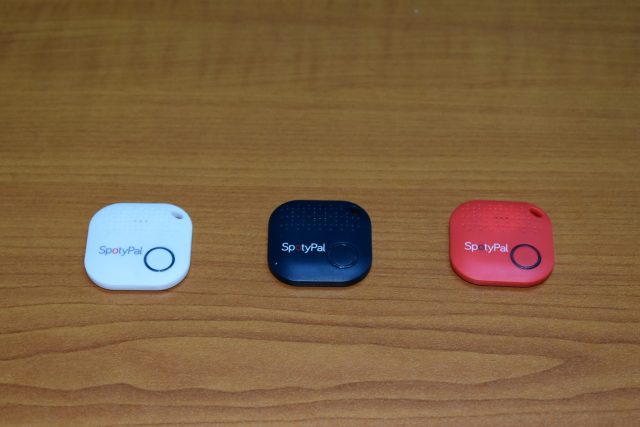 Spotypal-1-640x427.jpg