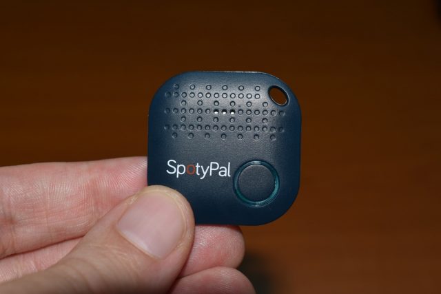 Spotypal-11-640x427.jpg