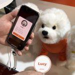 1677748818_814_MWC-2023-Petnow-would-be-an-ID-card-for-dogs