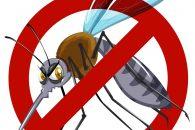 KsouKsou: Τα πρωτα ελληνικά smartphone apps που απωθούν τα κουνούπια & τις κατσαρίδες μέσω του ήχου!