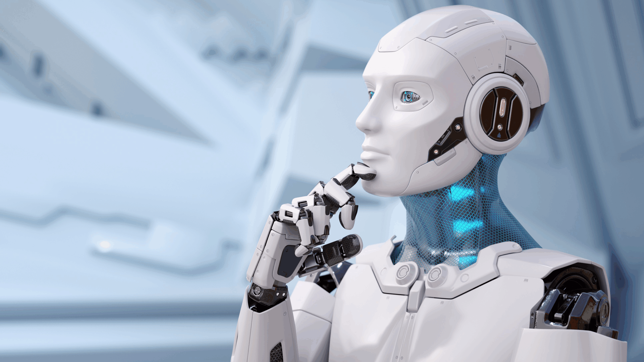 Meta Robot